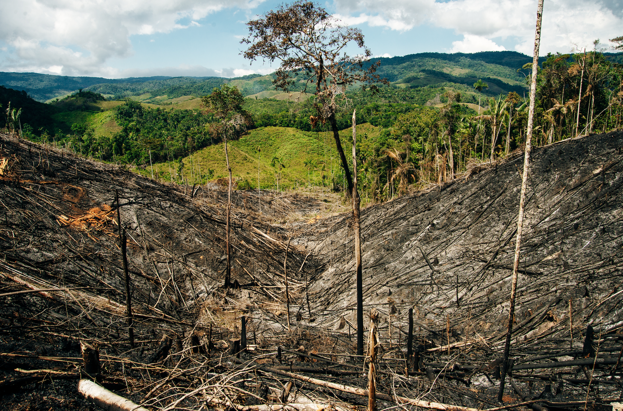 Att få en större respekt för naturen är viktigt Att få en större respekt för naturen är viktigt